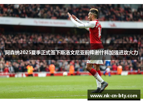 阿森纳2025夏季正式签下斯洛文尼亚前锋谢什科加强进攻火力 阿森纳2025夏季正式签下斯洛文尼亚前锋谢什科加强进攻火力